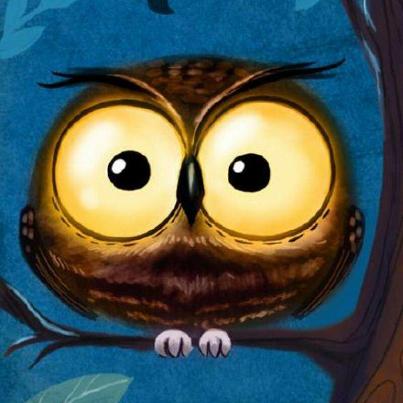 Big eyes owl-BlingPainting-Customized Products Make Great Gifts