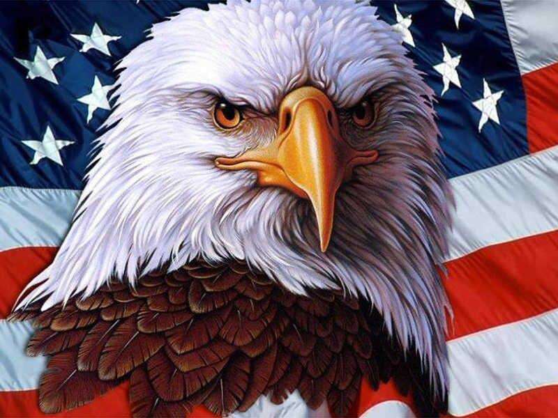 American Bald Eagle with Flag-BlingPainting-Customized Products Make Great Gifts