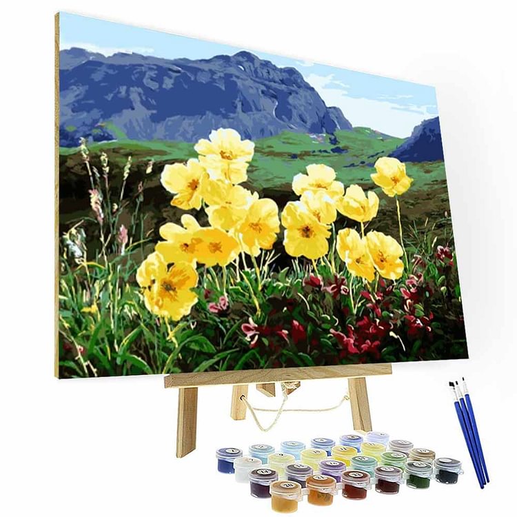Paint by Number Kit --  Open flowers in the valley-BlingPainting-Customized Products Make Great Gifts