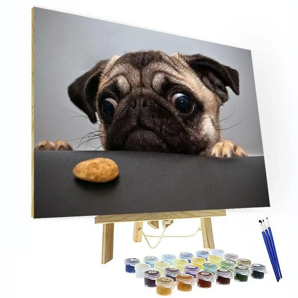 Paint by Numbers Kit - Cute Pug Dog-BlingPainting-Customized Products Make Great Gifts