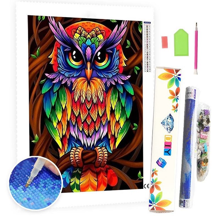 DIY Diamond Painting Kit for Adults - Colorful Owl-BlingPainting-Customized Products Make Great Gifts