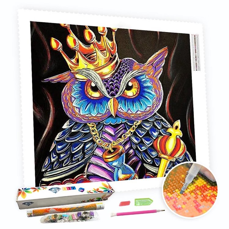 DIY Diamond Painting Kit for Adults - Owl Wearing a Crown-BlingPainting-Customized Products Make Great Gifts