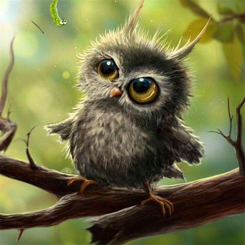 Cute Baby Owl-BlingPainting-Customized Products Make Great Gifts