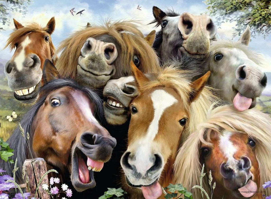 Paarden Selfie-BlingPainting-Customized Products Make Great Gifts