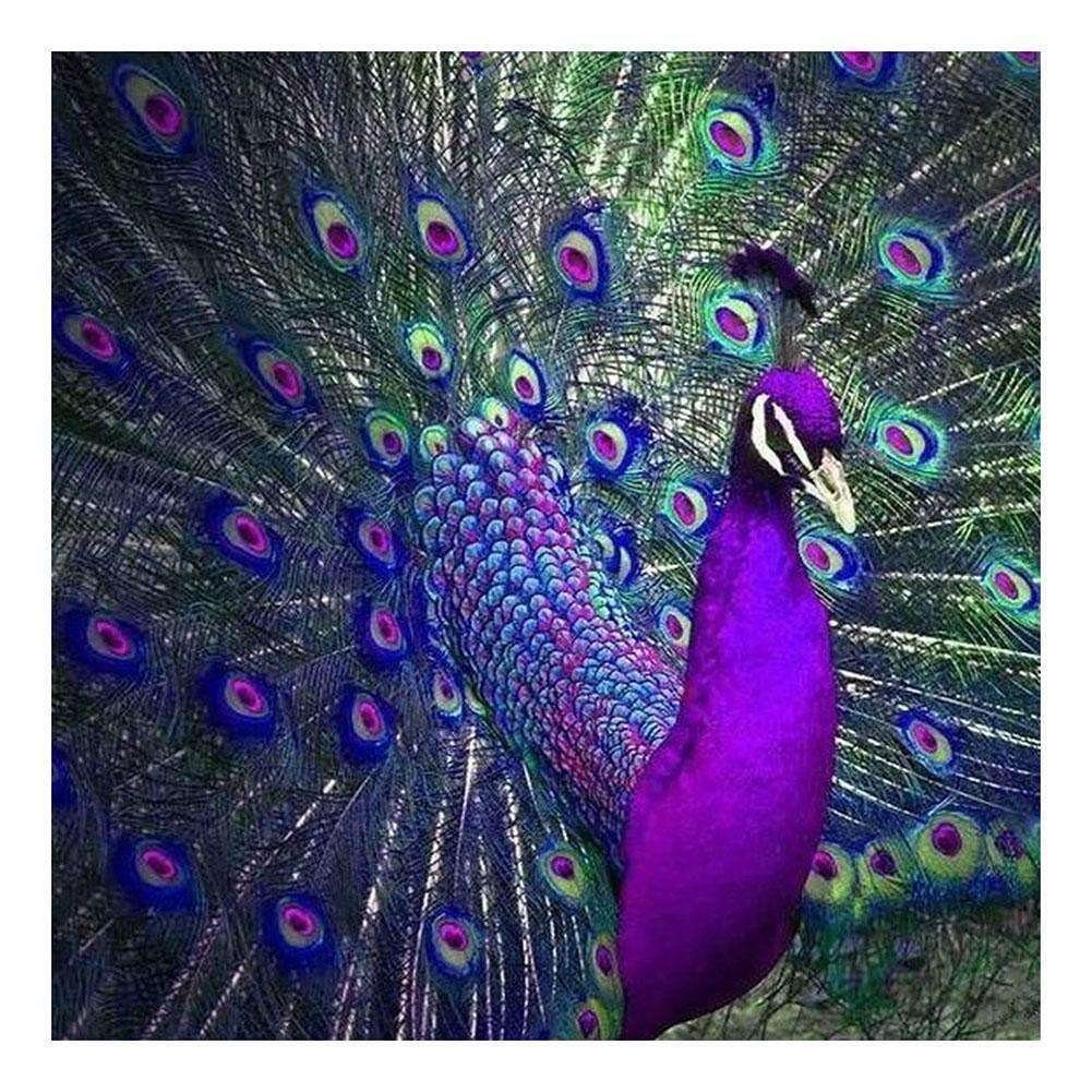 Purple Peacock-BlingPainting-Customized Products Make Great Gifts