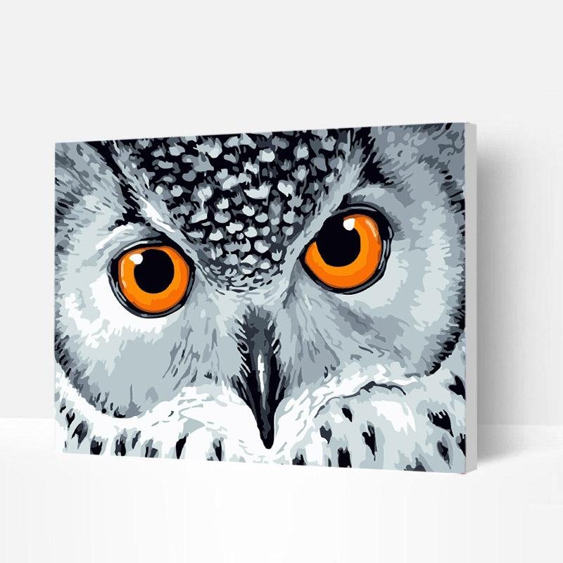 Paint by Numbers Kit - White Owl-BlingPainting-Customized Products Make Great Gifts