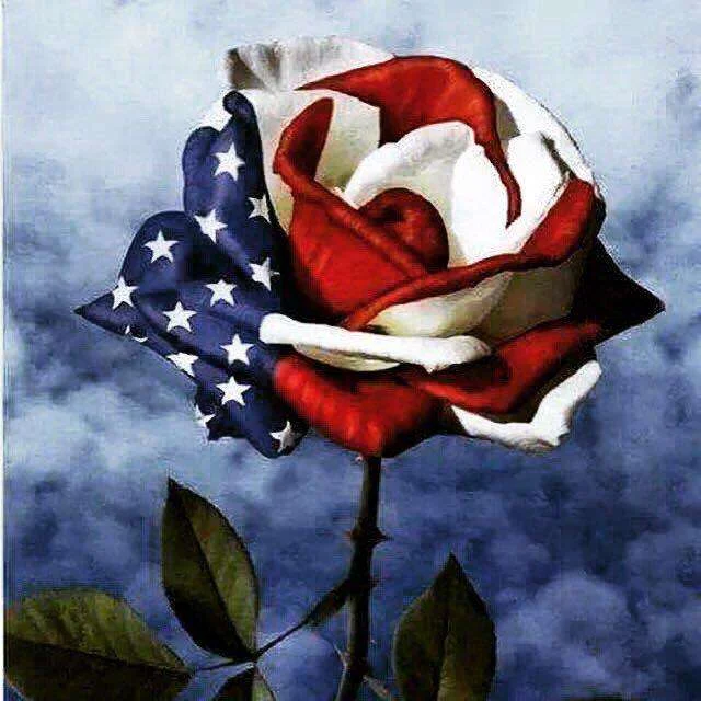 Happy 4th of July with Roses-BlingPainting-Customized Products Make Great Gifts