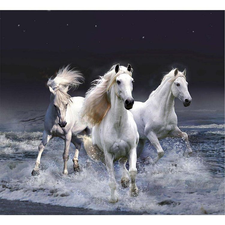 Horses Without a Stop-BlingPainting-Customized Products Make Great Gifts