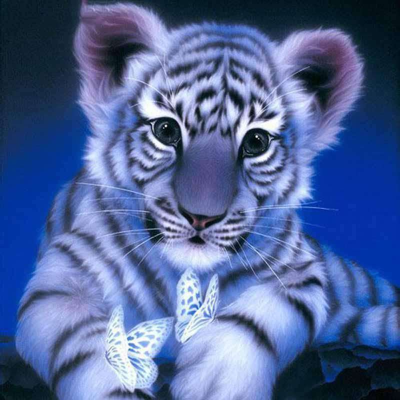 Little White Tiger &amp; Butterfly-BlingPainting-Customized Products Make Great Gifts