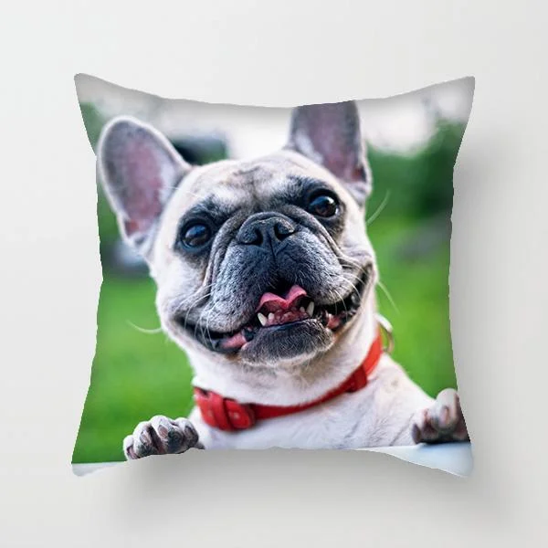 Personalized Throw Pillow with Photo - Best Gifts 2022-BlingPainting-Customized Products Make Great Gifts
