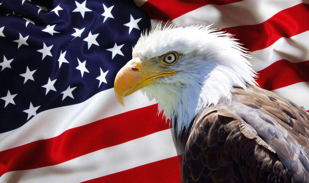 Flag with Eagle-BlingPainting-Customized Products Make Great Gifts