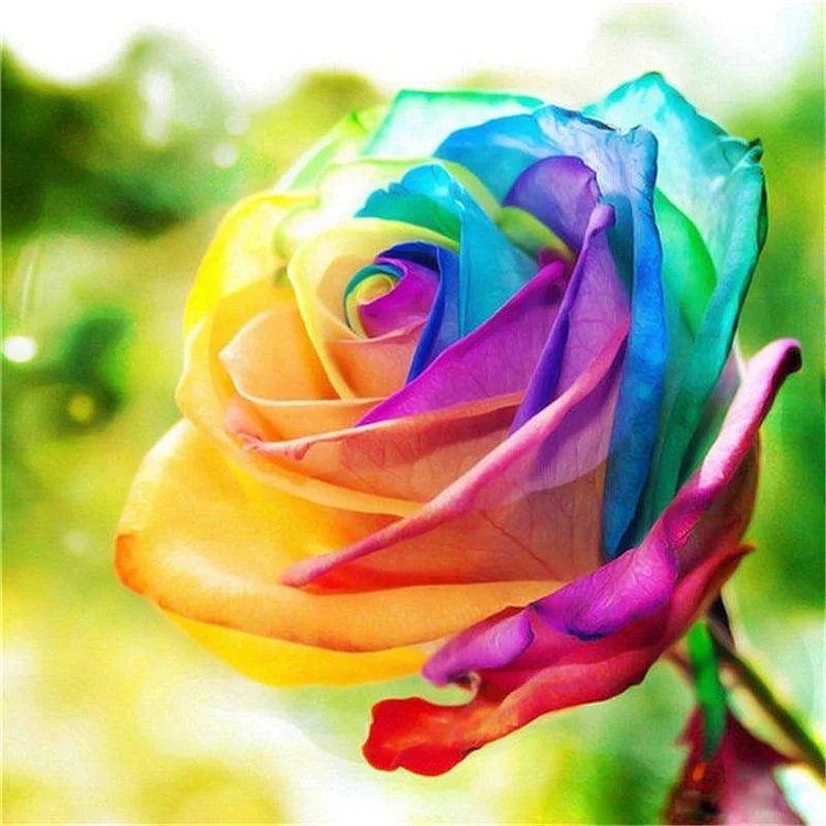 The Rainbow Rose-BlingPainting-Customized Products Make Great Gifts