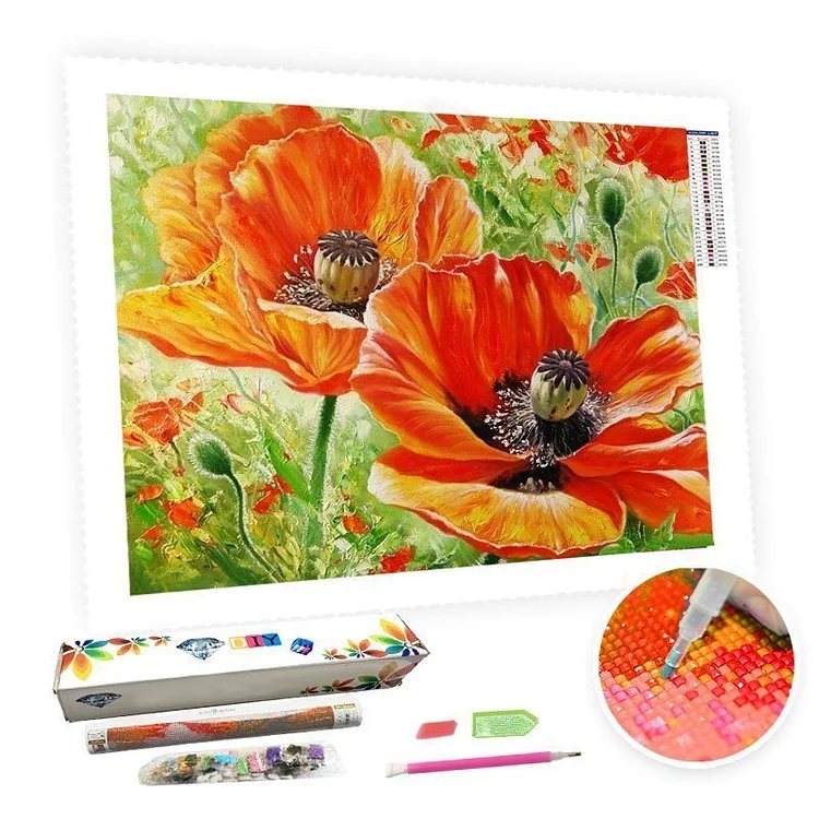 DIY Diamond Painting Kit for Adults - Poppies - Best Gifts for Grandparents 2022-BlingPainting-Customized Products Make Great Gifts
