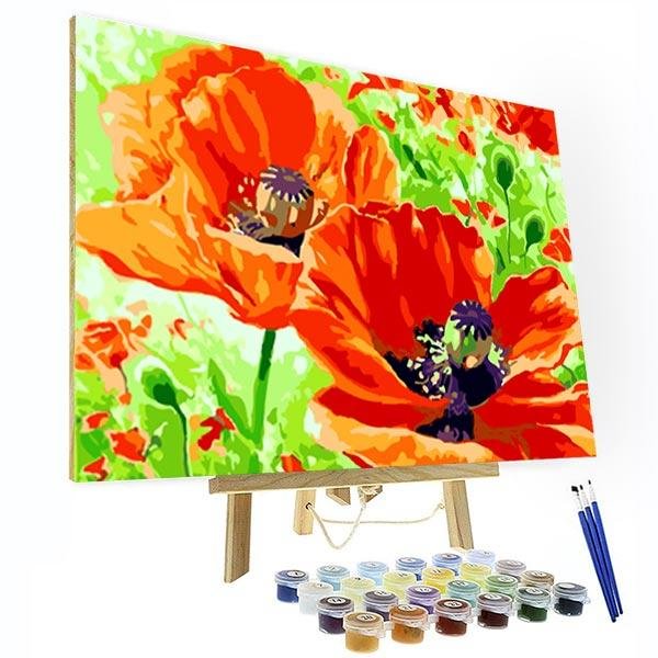 Paint by Number Kit - Poppy flower-BlingPainting-Customized Products Make Great Gifts