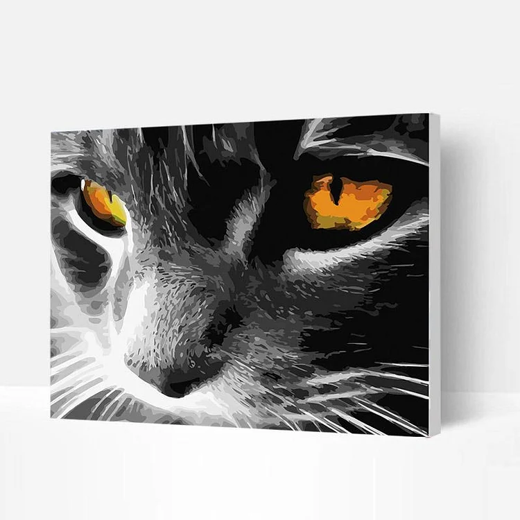 Paint by Numbers Kit - Grey Cat Orange Eyes-BlingPainting-Customized Products Make Great Gifts