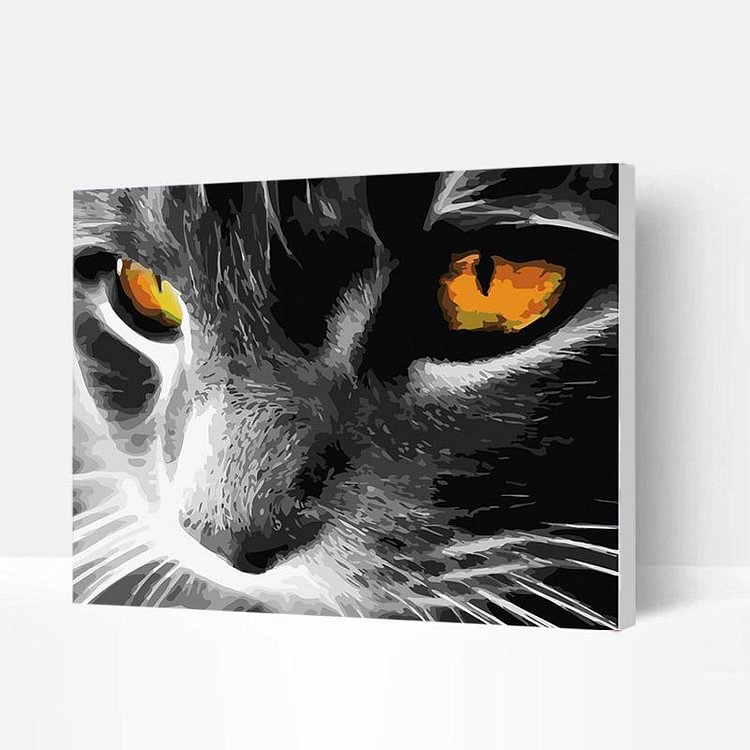 Paint by Numbers Kit - Grey Cat Orange Eyes-BlingPainting-Customized Products Make Great Gifts