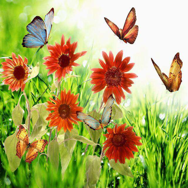 Butterflies dancing in flowers-BlingPainting-Customized Products Make Great Gifts