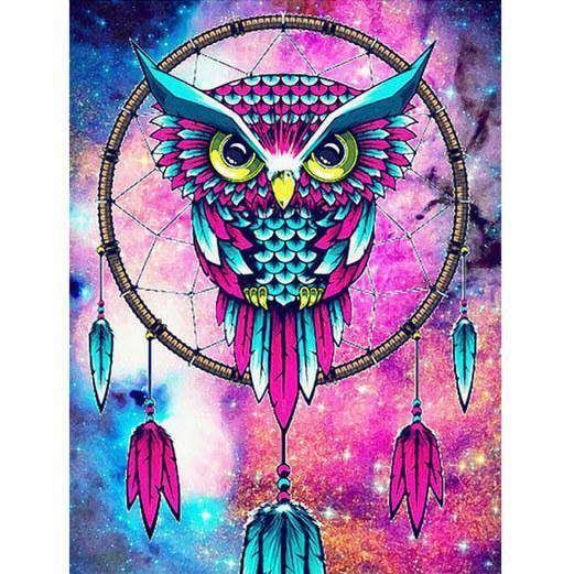 Owl Dream Catcher-BlingPainting-Customized Products Make Great Gifts
